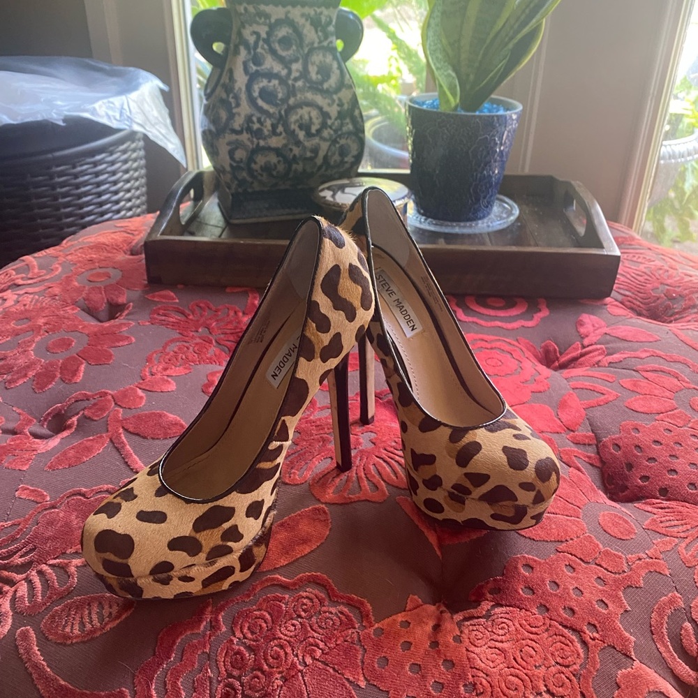 Steve Madden super high heel platform leopard / Cheetah print shoes, size 6.